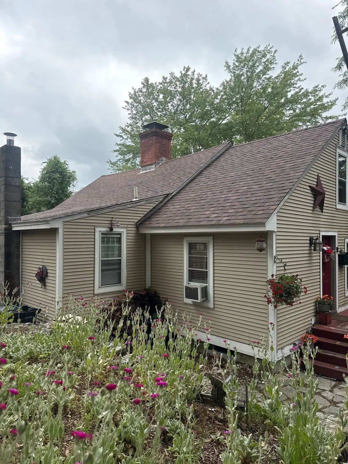 Cottage in Sterling, CT with a new brown shingle roof and a wildflower garden in front