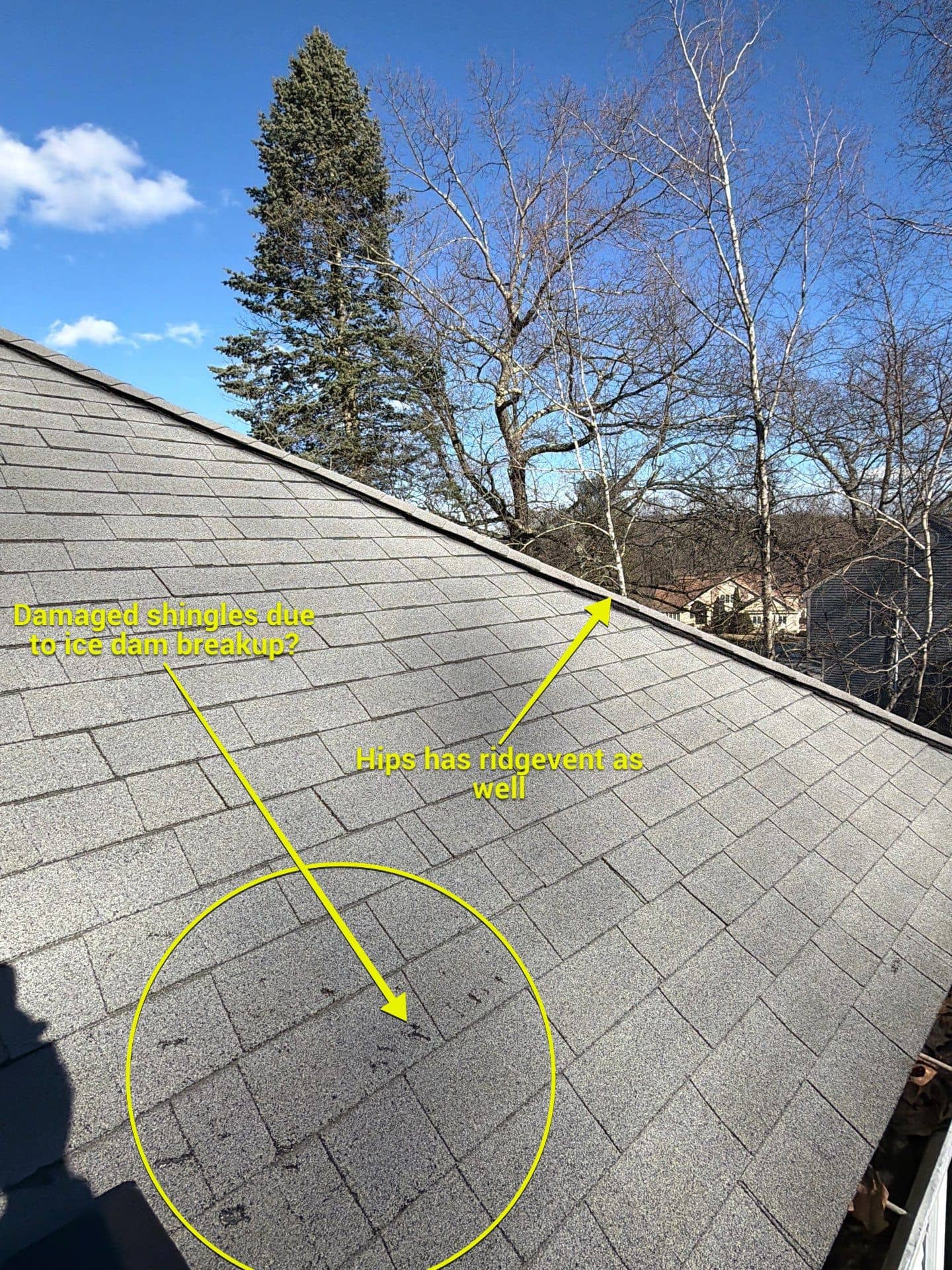 Annotated 360° Roof Report photo showing shingles damaged by ice-dam breakup